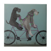 Schnauzer Tandem Tegeltje (Voorkant)