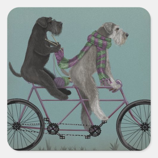 Schnauzer Tandem Vierkante Sticker (Voorkant)