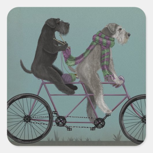 Schnauzer Tandem Vierkante Sticker (Voorkant)