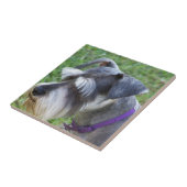 Schnauzer Tile of Trivet Tegeltje (Zijkant)