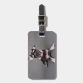 Schnauzer - Tom Dooley Bagagelabel (Voorkant verticaal)