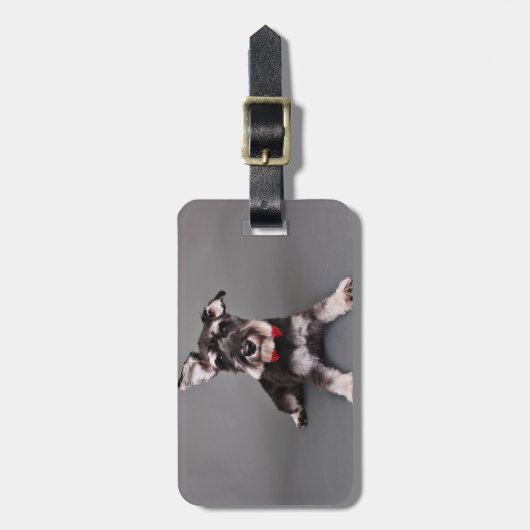 Schnauzer - Tom Dooley Bagagelabel (Voorkant verticaal)