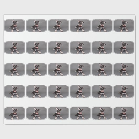 Schnauzer - Tom Dooley Cadeaupapier (Vlak)