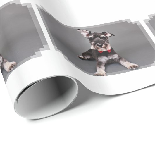 Schnauzer - Tom Dooley Cadeaupapier (Rol Hoek)