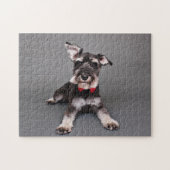 Schnauzer - Tom Dooley Legpuzzel (Horizontaal)