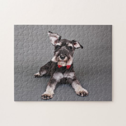Schnauzer - Tom Dooley Legpuzzel (Horizontaal)