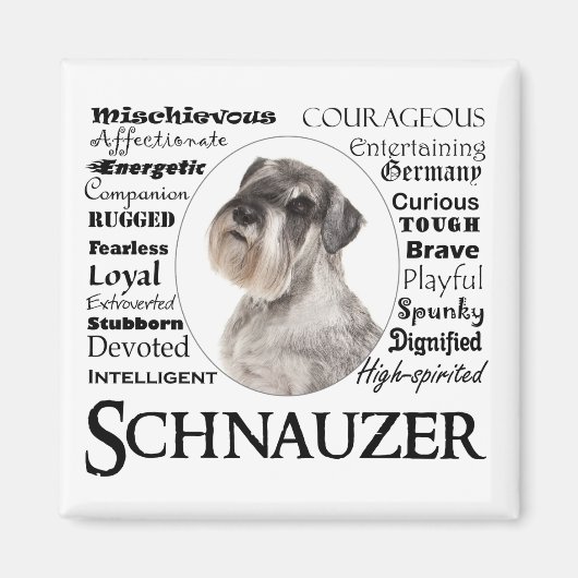 Schnauzer Traits Magnet (Voorkant)