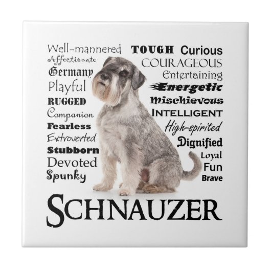 Schnauzer Traits Tegel Tegeltje (Voorkant)