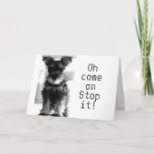 SCHNAUZER U KIJKT NOG STEEDS "49" HOE JE "50" KUNT KAART (Voorkant)