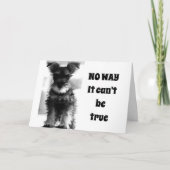 SCHNAUZER U KIJKT NOG STEEDS 69 NIET OP "70!!!!" K KAART (Voorkant)