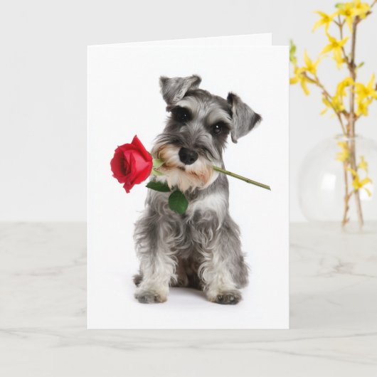 Schnauzer Valentine – Trouw met een Roos Kaart (Gele Bloem)