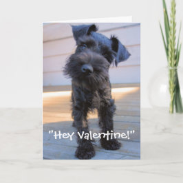 Schnauzer Valentine's Day Card Feestdagen Kaart