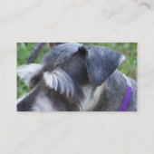Schnauzer-Visitekaartjes Visitekaartje (Achterkant)