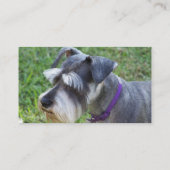 Schnauzer-Visitekaartjes Visitekaartje (Achterkant)