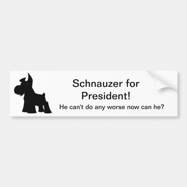 Schnauzer voor President Bumpersticker (Voorkant)