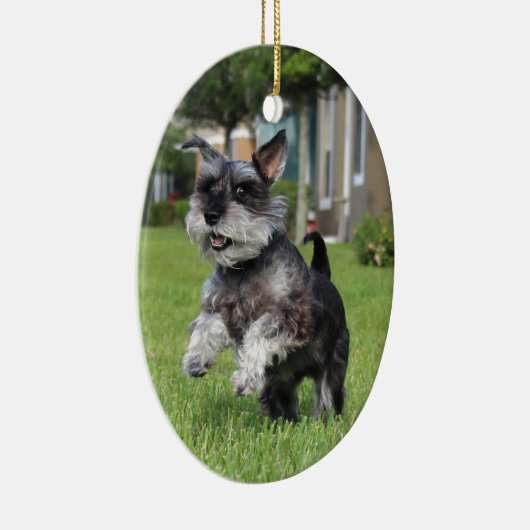 Schnauzer, vreugde keramisch ornament (Rechts)