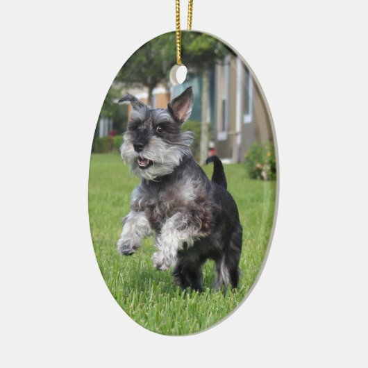 Schnauzer, vreugde keramisch ornament (Links)