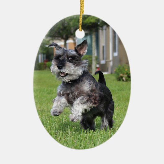 Schnauzer, vreugde keramisch ornament (Voorkant)
