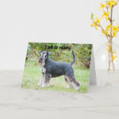 Schnauzer zegt "HAPPY "60th BIRTHDAY" Kaart (Gele Bloem)