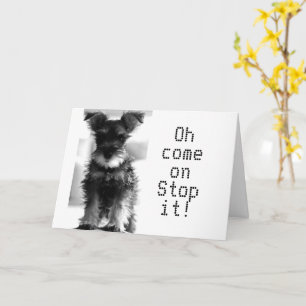 SCHNAUZER ZEGT: "JE KIJKT NOG STEEDS 59" "60E BIRT KAART