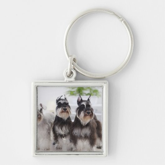 Schnauzers aan de rand van de tafel sleutelhanger (Voorkant)