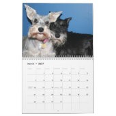 Schnauzers Kalender (Mar 2027)