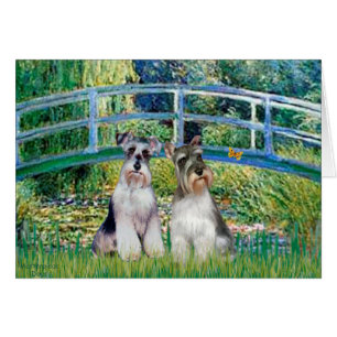 Schnauzers (twee-nat) - Brug