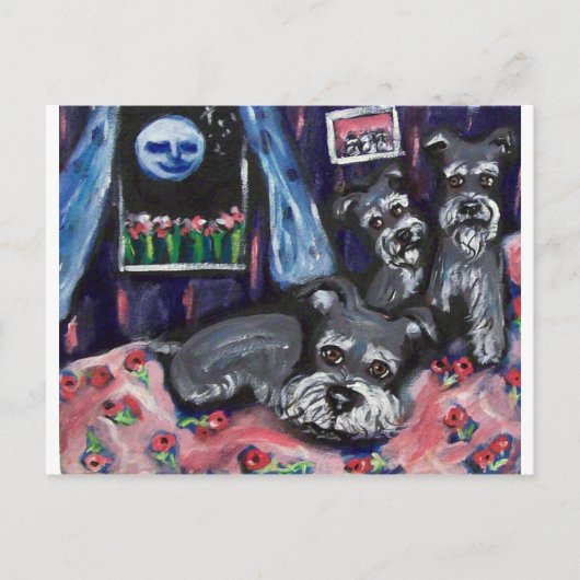 Schnauzers voelen zich grillig briefkaart (Voorkant)