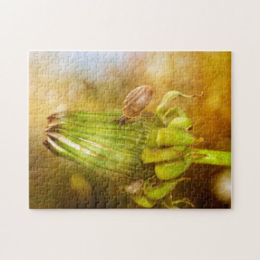 Schnecke auf Wanderung ... Legpuzzel (Horizontaal)