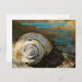 Schneckenpost Briefkaart (Voorkant / Achterkant)