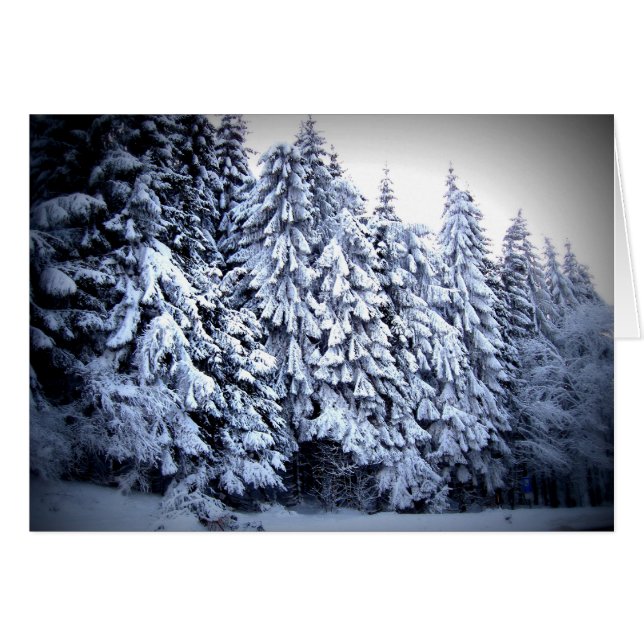 Schnee (Voorkant Horizontaal)