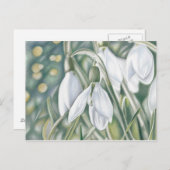 Schneeglöckchen - Farbstiftzeichnung Briefkaart (Voorkant / Achterkant)