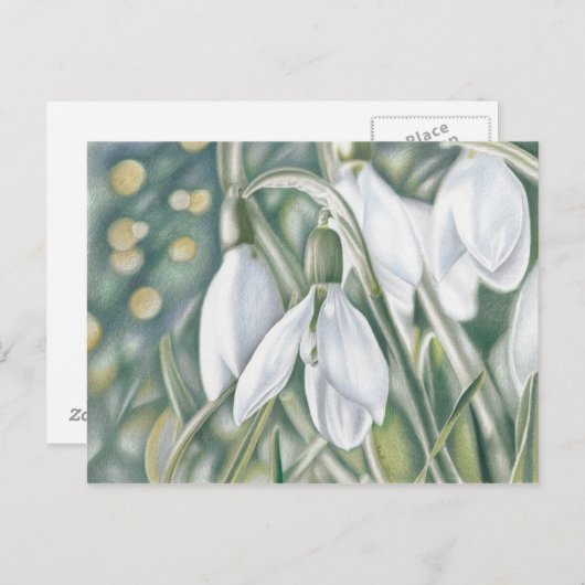 Schneeglöckchen - Farbstiftzeichnung Briefkaart (Voorkant / Achterkant)