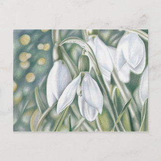 Schneeglöckchen - Farbstiftzeichnung Briefkaart