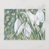 Schneeglöckchen - Farbstiftzeichnung Briefkaart (Voorkant)