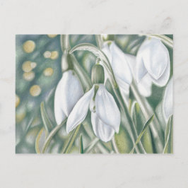 Schneeglöckchen - Farbstiftzeichnung Briefkaart
