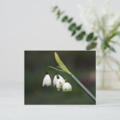 Schneeglöckchen läutet den Frühling ein Briefkaart (Staand voorkant)