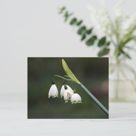 Schneeglöckchen läutet den Frühling ein Briefkaart (Staand voorkant)
