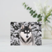 schneezauber briefkaart (Staand voorkant)