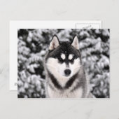 schneezauber briefkaart (Voorkant / Achterkant)