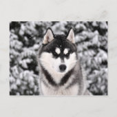 schneezauber briefkaart (Voorkant)