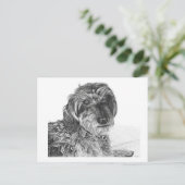 Schnell - Blank Briefkaart (Staand voorkant)