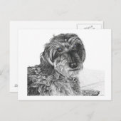 Schnell - Blank Briefkaart (Voorkant / Achterkant)