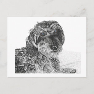 Schnell - Blank Briefkaart