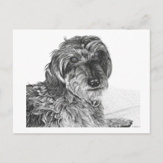 Schnell - Blank Briefkaart