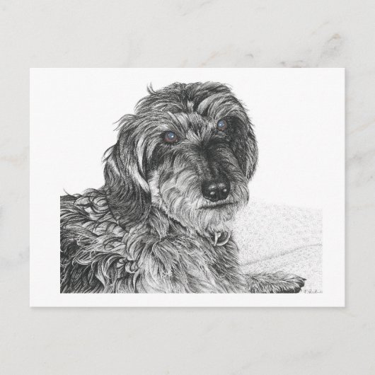 Schnell - Blank Briefkaart (Voorkant)