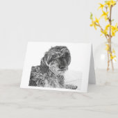 Schnell - de Lege Kaart van Groeten (Gele Bloem)