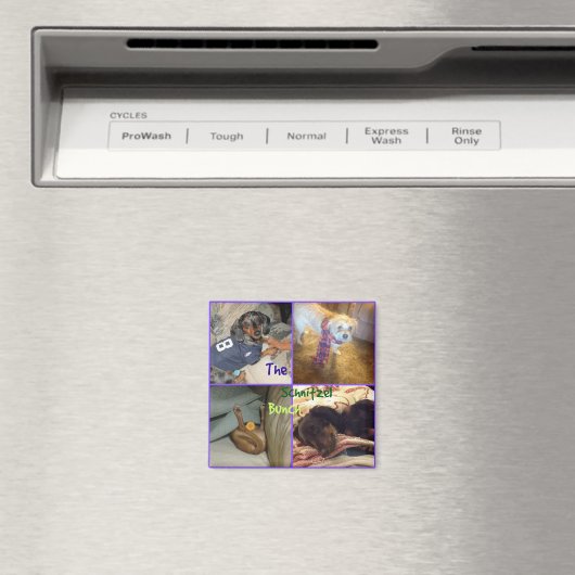 Schnitzel Bunch Magnet (Insitu (Vaatwasser))