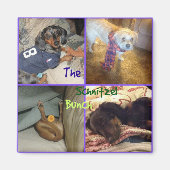 Schnitzel Bunch Magnet (Voorkant)