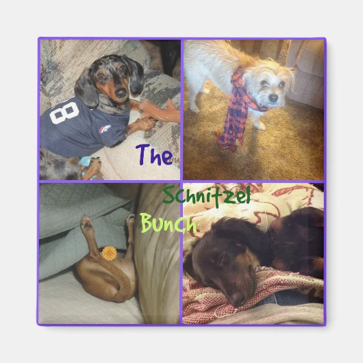 Schnitzel Bunch Magnet (Voorkant)